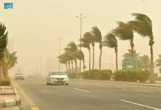 Saudi NCM Issues Dust Storm Warning for West Coast Until July 1
