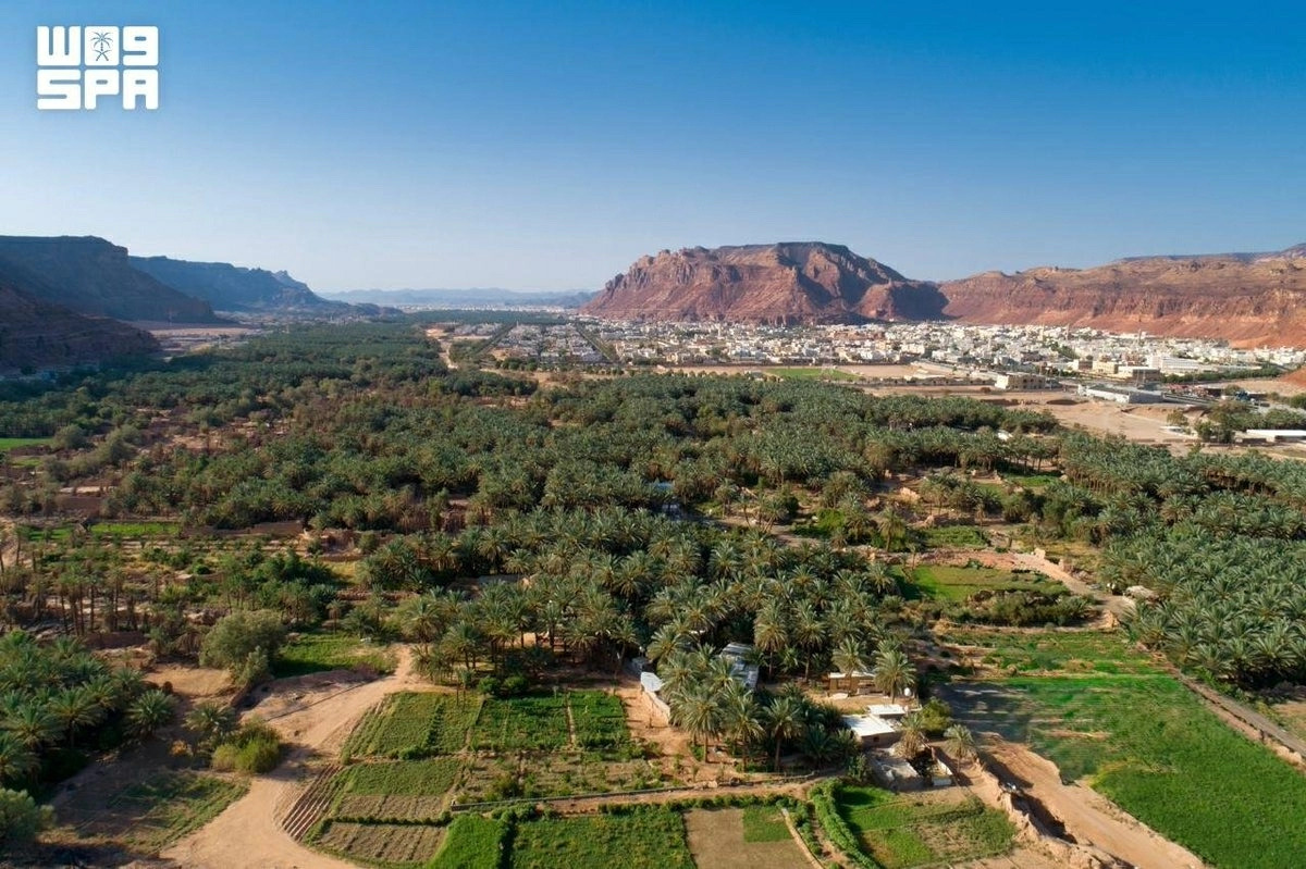 Saudi Arabia’s AlUla Launches New Date and Citrus Farming Season