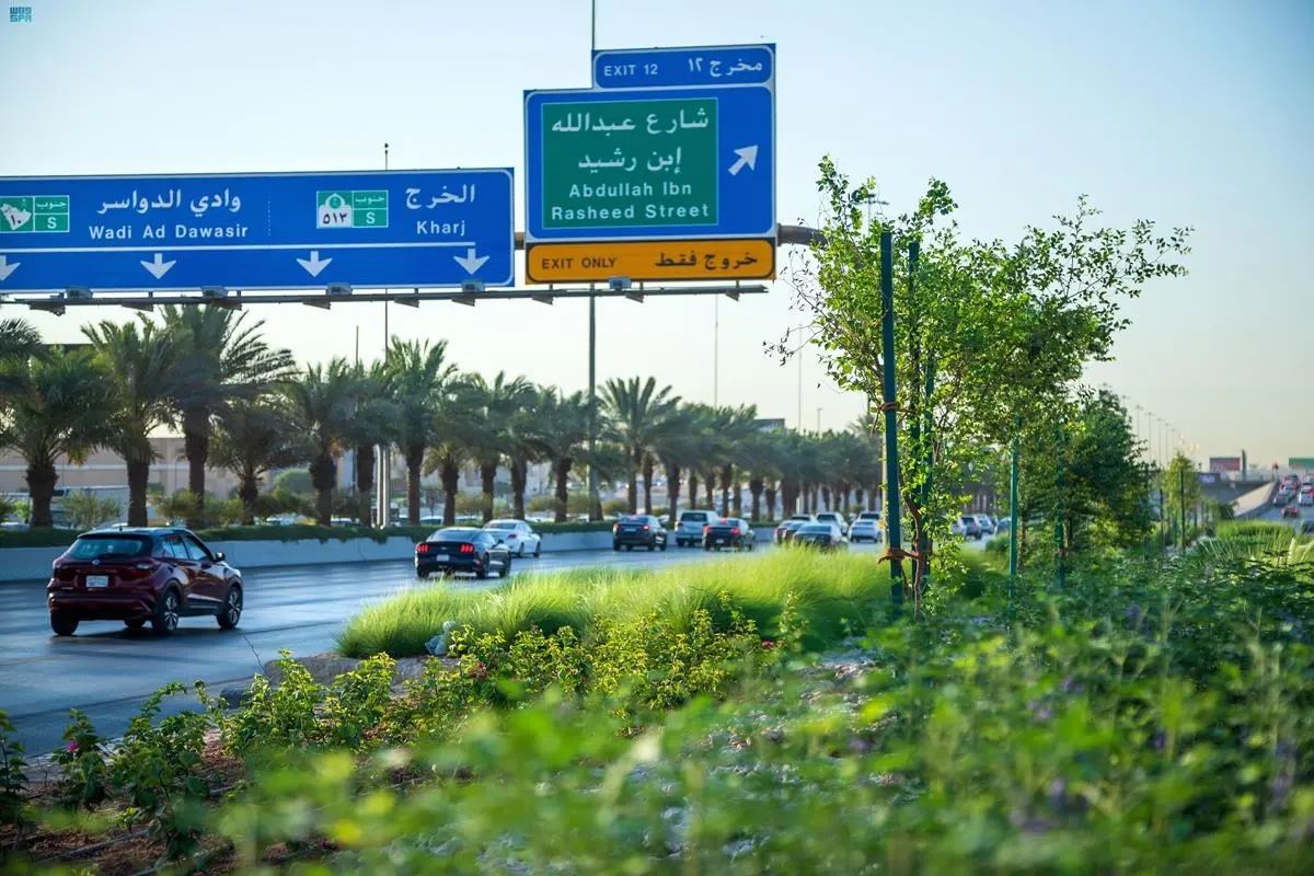 Saudi Arabia Promotes Tree Planting to Reduce Summer Heat
