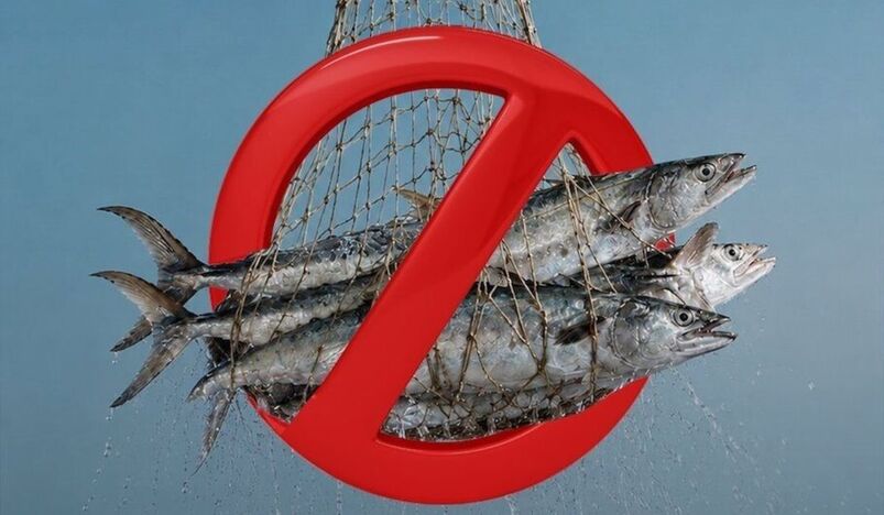 Qatar Imposes Temporary Ban on Kingfish Fishing