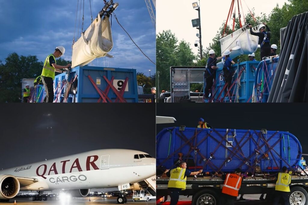 Six beluga whales take flight as Qatar Airways Cargo completes rescue relocation journey