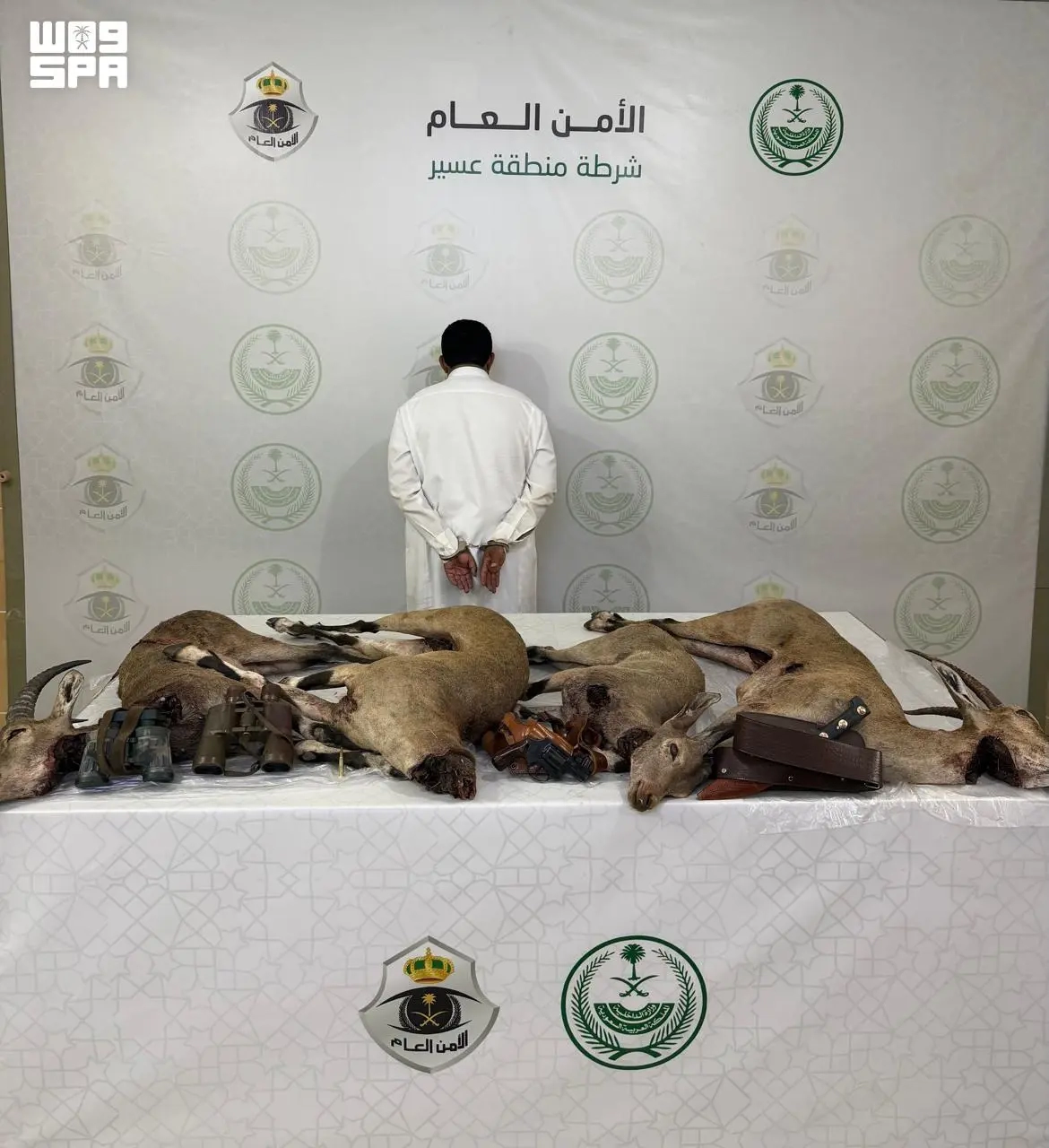 Asir Police Arrest Man for Hunting Endangered Ibex