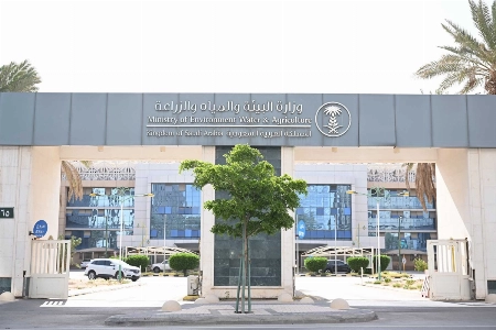 Saudi Arabia Updates Water Efficiency Rules, Sets Fines for Violations