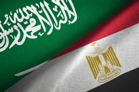 Saudi-Egypt Trade Hits $82.2 Billion Over Five Years