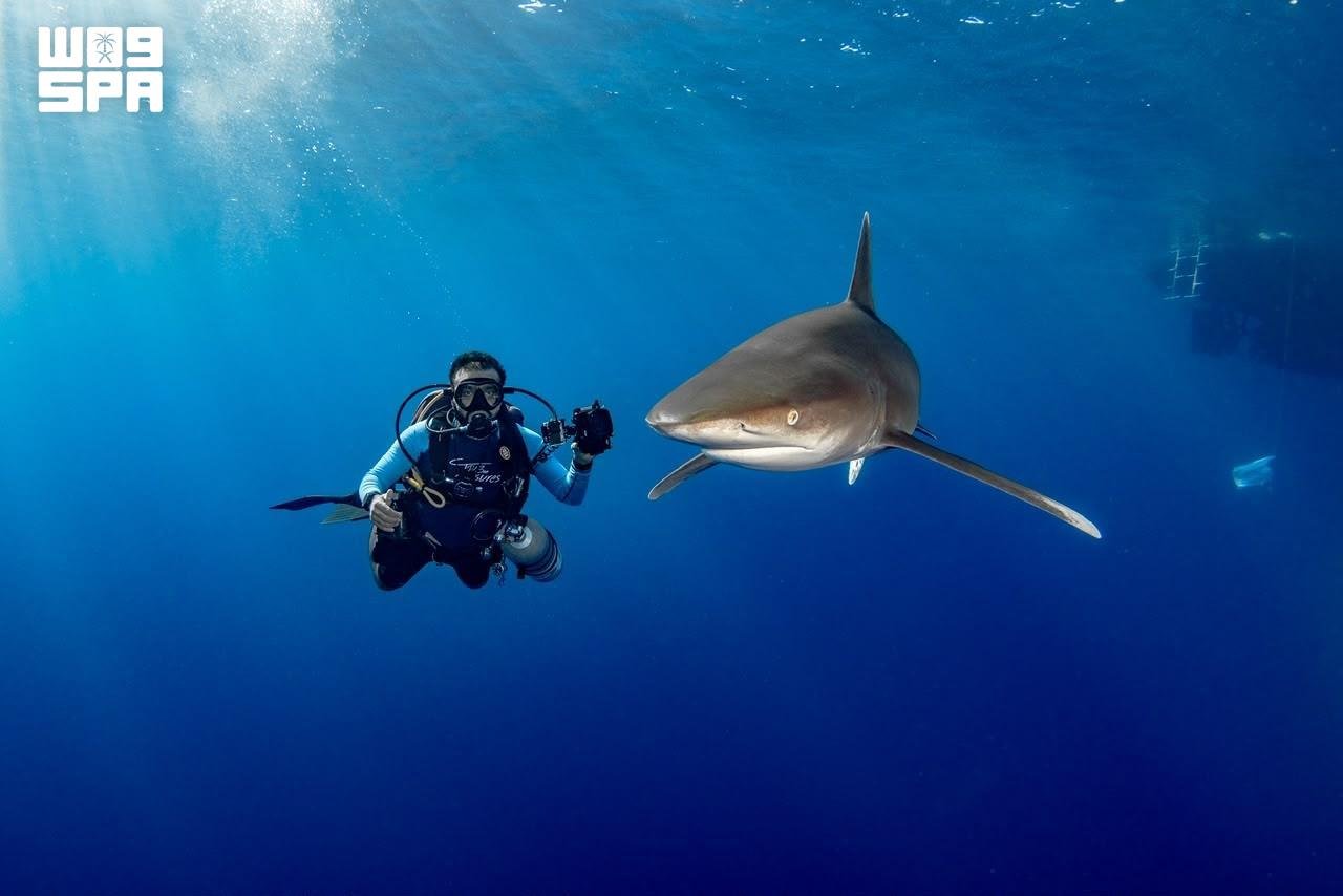 Saudi Arabia’s Diving Sector Expands as Marine Tourism Gains Momentum
