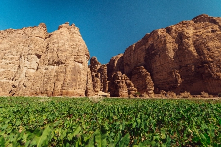AlUla Receives Gold Award for Responsible Tourism
