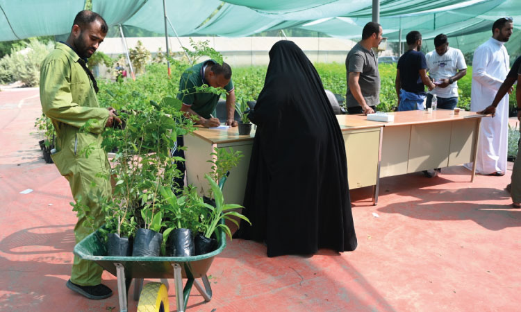 Kuwait’s Al-Omariya Nursery Opens With 500,000-Plus Seedlings From 50 Fils