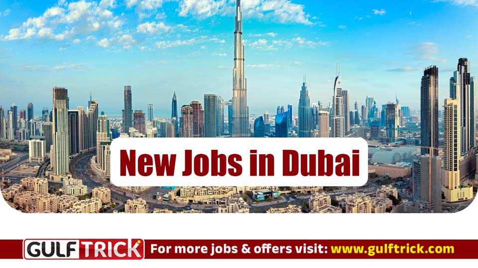 Kitchen Technician Vacancy Available in Abu Dhabi
